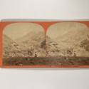 View estereo cardboard