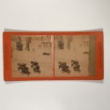 View estereo cardboard