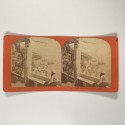 View estereo cardboard