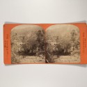 View estereo cardboard
