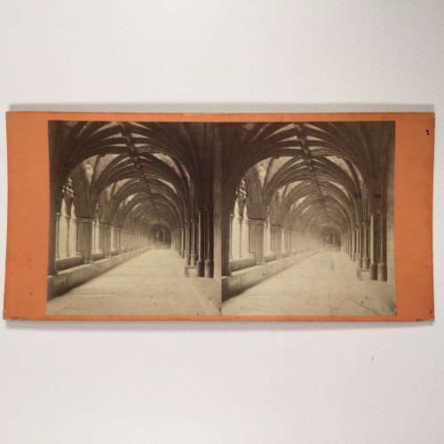 View estereo cardboard