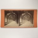 View estereo cardboard