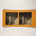 View estereo cardboard