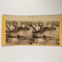 View estereo cardboard