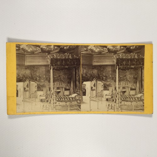 View estereo cardboard