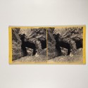 View estereo cardboard
