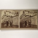 View estereo cardboard