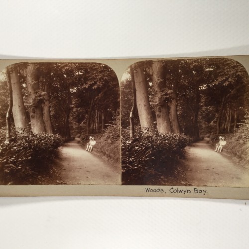 View estereo cardboard