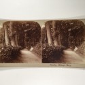 View estereo cardboard