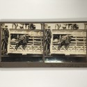 View estereo cardboard