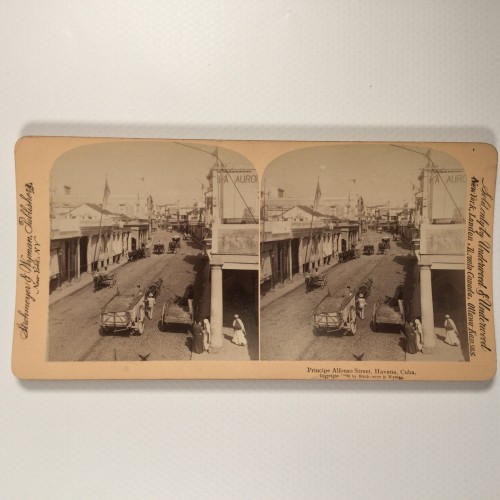 Voir le carton de