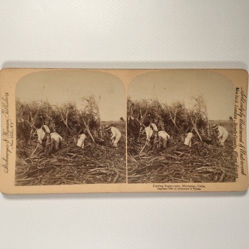 Voir le carton de