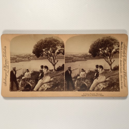 View estereo cardboard