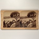 View estereo cardboard