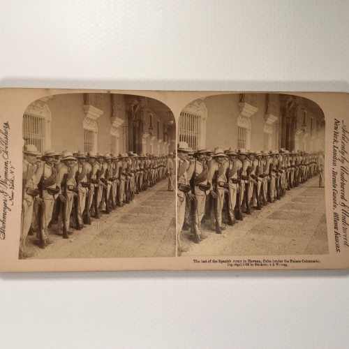 Voir le carton de