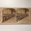 Voir le carton de