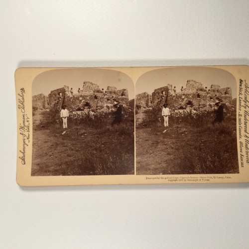 Voir le carton de