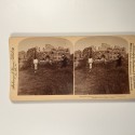 Voir le carton de