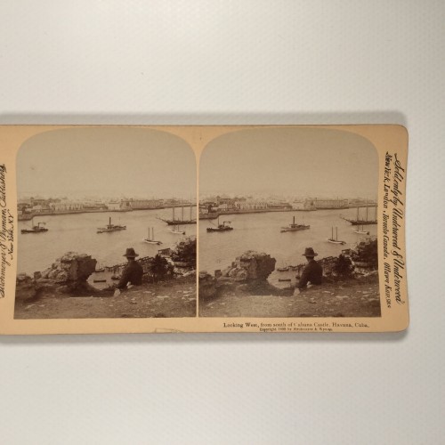 Voir le carton de