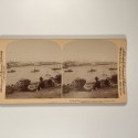 Voir le carton de