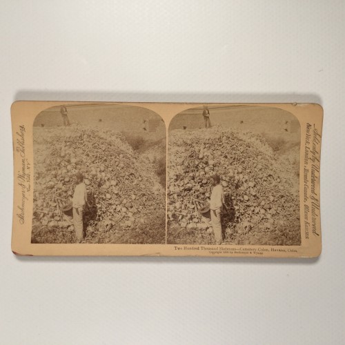Voir le carton de