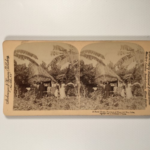 Voir le carton de
