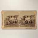 Voir le carton de