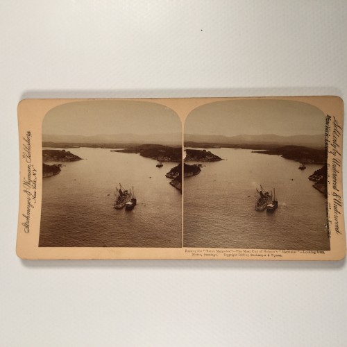 View estereo cardboard