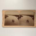 View estereo cardboard