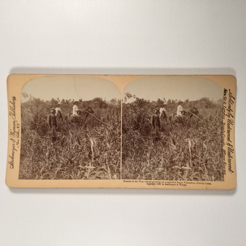 Vista estereo de cartón _ "Results of the War—Grass growing on a neglected Sugar Plantation—Fertile Cuba."