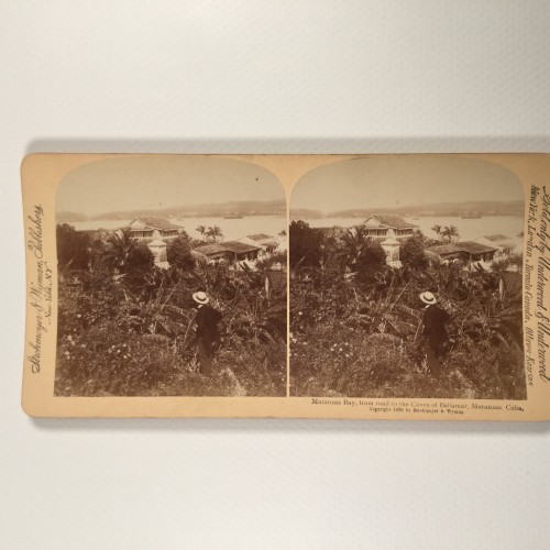 View estereo cardboard