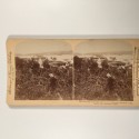 View estereo cardboard