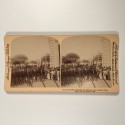 Voir le carton de