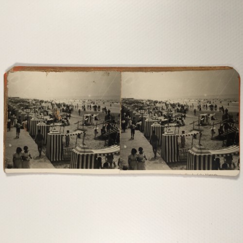View estereo cardboard