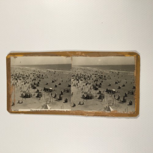 Voir le carton de