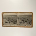 Voir le carton de