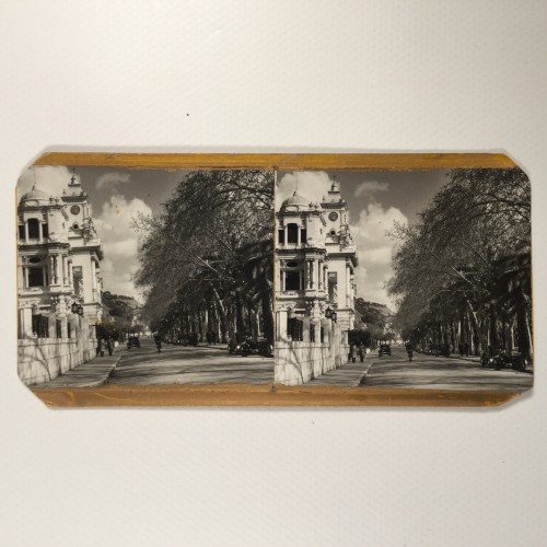 View estereo cardboard