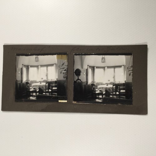 View estereo cardboard