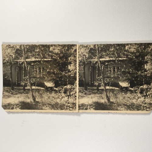 View estereo cardboard