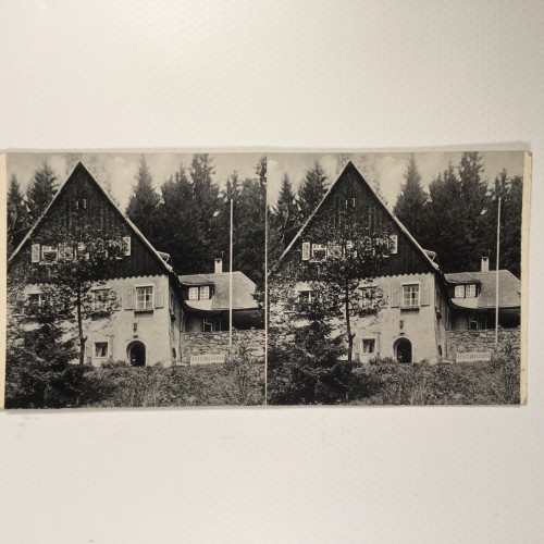 View estereo cardboard