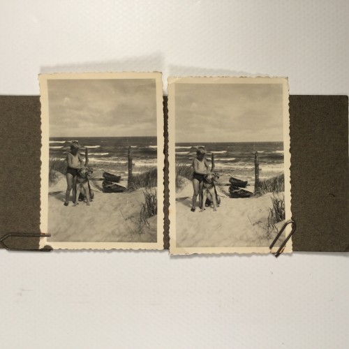 View estereo cardboard