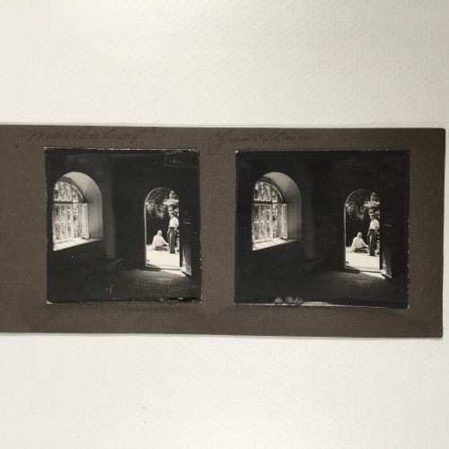 View estereo cardboard