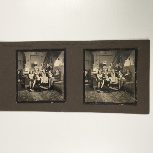 View estereo cardboard