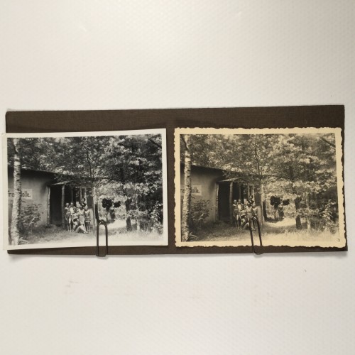View estereo cardboard