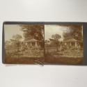 View estereo cardboard