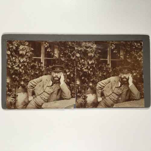 View estereo cardboard