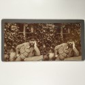 View estereo cardboard