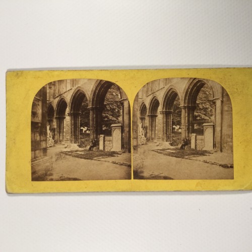 View estereo cardboard
