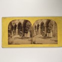 View estereo cardboard