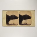 View estereo cardboard